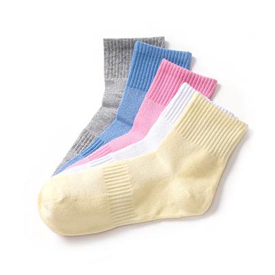 China New Spring Cotton Solid Color Sporty Mesh Sporty Warm Breathable Casual Socks Short Tube for sale