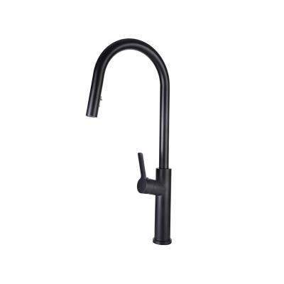 China Other Hot Cold Water Sink Faucet Matte Finished Pull Down Kitchen Faucet Faucets for sale