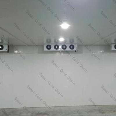 China ISO Low Temperature Cold Room , Frozen Food Cold Room For Store Vegetables / Fruits for sale