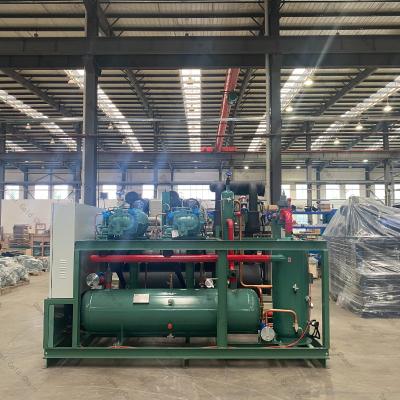 China Energy Efficient Air Cooled Condensing Units With Inverter Compressor for sale