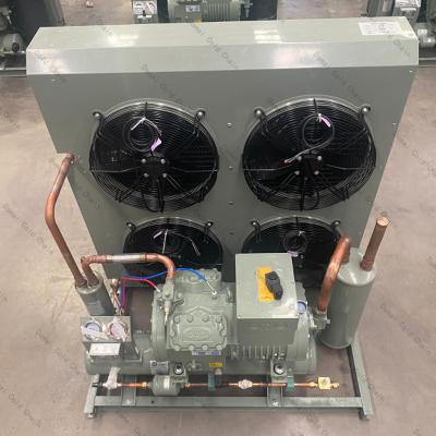 China Compact Condenser Unit Air Cooled With Highly Rotary Inverter Compressor for sale