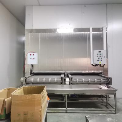 China Refrigeration Equipment Quick Freezing Tunnel For Food Frozen Fish for sale