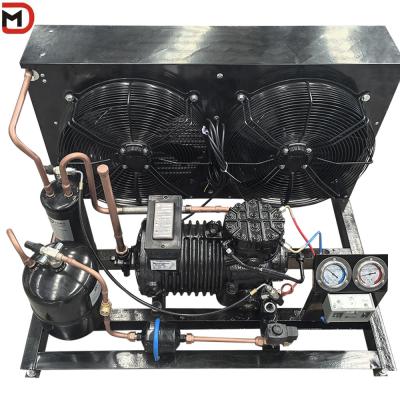 China Semi Hermetic Piston Condensing Unit with 380V/ 3p/ 60Hz Requirement For Cold Room for sale