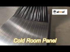 freezer cold room panel color steel / stainless steel pu sandwich panel