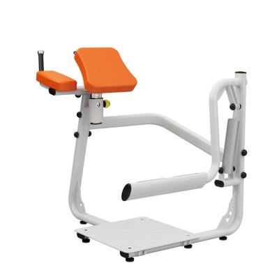 China Multi Functional Hydraulic Gym Machine For Females Leg Extension Leg Curl Hot Sale Fitness Equipment For Girls Club for sale