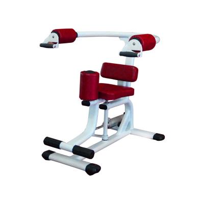 China Best Quality Gym Equipment Multi Functional Rotary Torso Machine Rotary Chest Exercise Machine For Sale for sale