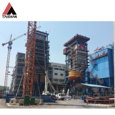 China Biomass Steam Boiler Stage Grate Wood Biomass Steam Boiler VERTICAL Coal Fired Biomass Pellet Boiler for sale