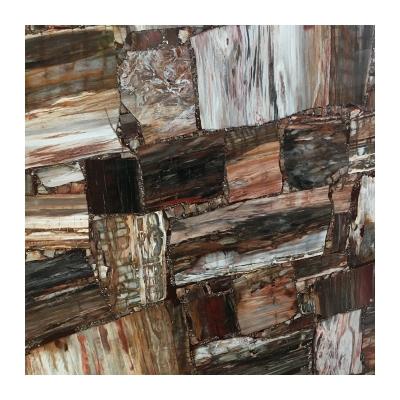 China Interior Wall Flooring Application Tiles Slabs Petrified Wood Brown Agate Price Countertops Fossil Stone for sale