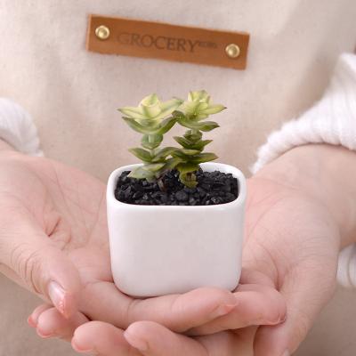 China Eco - Friendly Mini Square Ceramic Plant Fleshy Flower Pot for sale