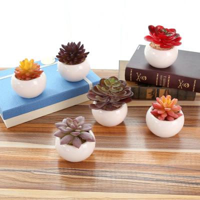 China Artificial Flowers Wholesale Ceramic Artificial Succulent Pot Factory for sale