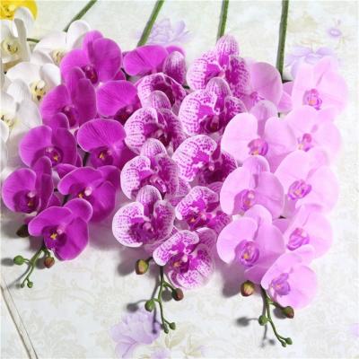 China Natural Wholesale Simulation European Style Touch Orchid Phalaenopsis Dendrobium Orchid Orchid Plants for sale