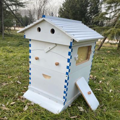 Κίνα Auto Artesian bee hive/Artesian hive beehive automatic Artesian honey bee hive προς πώληση