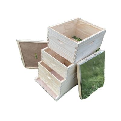 중국 Preferential cheap bee hives and Super box with Deep box Bee Keeping Beehive Sale Australia Bee Hive 판매용