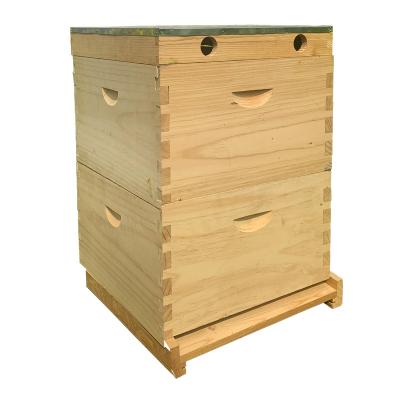 중국 Factory Supply Australian Pine Wood Bee Hive With 10 Frame / High Quality Bee Hive For Beekeeping 판매용