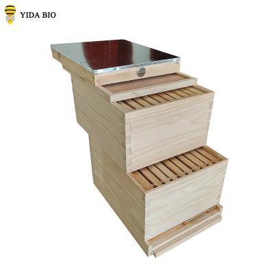 China made in China Beekeeping equipment bee hive wholesale Australian bee hive zu verkaufen