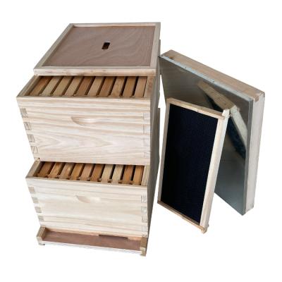 Κίνα High quality 10 Frames Langstroth Bee Hive Langstroth Beehive Wooden Langstroth Honey Bee Hive Box προς πώληση