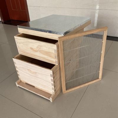 중국 Factory Price Beehive 2-layer Honey Bee Box for Sale Wood Bee Kits Langstroth Bee Hive 판매용