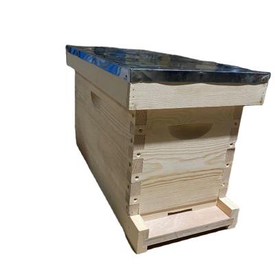 중국 2020 5 Frame wooden beehive queen rearing beekeeping bee hive nuc bee box wooden beehive queen 판매용