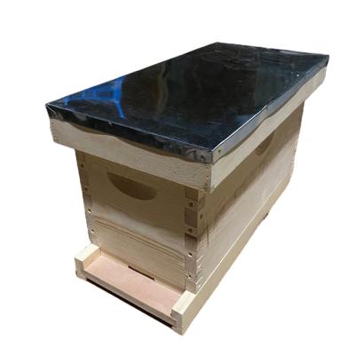 중국 Best-selling/Wooden beehive beehive with 5 frame Nuc box 판매용