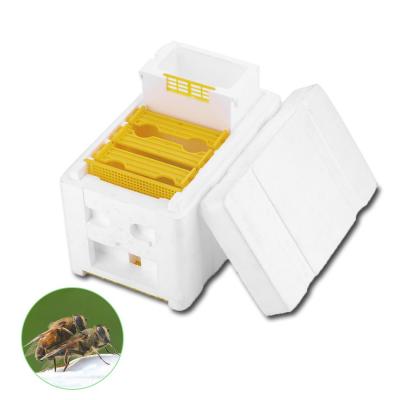 중국 2020 Apidea Mating Nuc Bee Hives bee Mating Polystyrene Mating Nucs Beehive 판매용