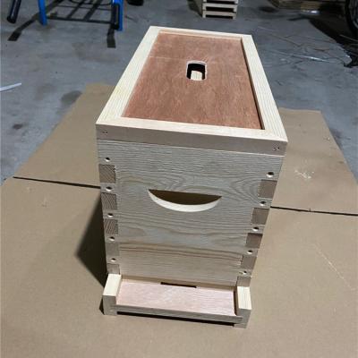 중국 Hot sale apiculture equipment beehive beekeeping Nuc beehive with 5 frames for Queen bee 판매용