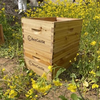 China Factory outlet wax dipped beehive with two deep boxes wooden beehive box without frames on sale for sale