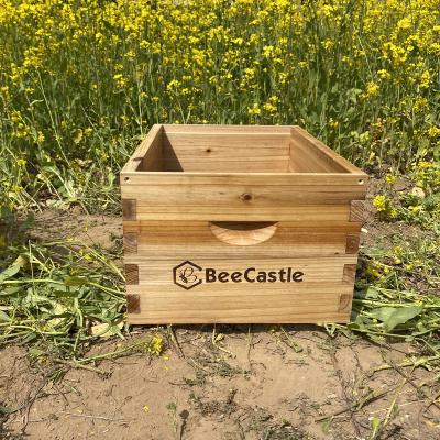 China Hot sale beehive box with deep box langstroth beehive wooden beehive for beeskeeping on sale for sale