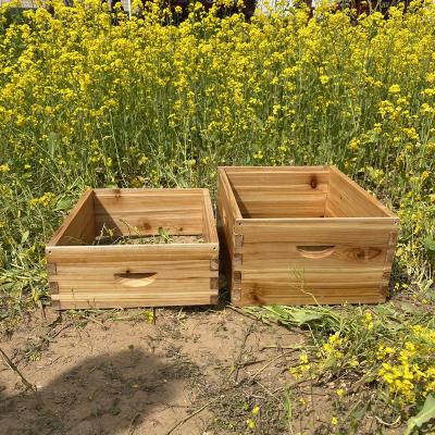 Κίνα Hot sale beehive equipment deep box and super box wax dipped beehive beehive products for sale προς πώληση