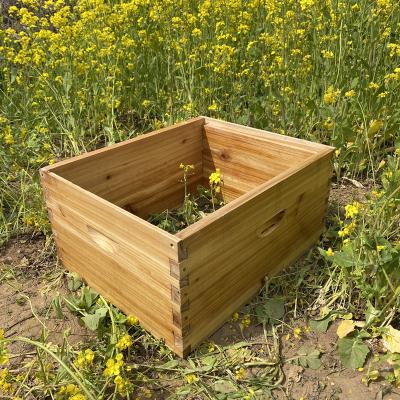 Κίνα Hot sale deep box wax dipped beehive wooden beehive for beeskeeping beehive supplies προς πώληση