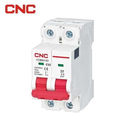 China Wenzhou smart mini breakes mcb 2 pole circuit breaker 2p with ce 4500 for sale