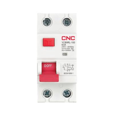 China 16 Amp 2 Pole B Factory 2p Circuit Breakers Direct Rccb Price for sale