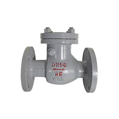 China Check Valve Low Pressure One Way Cast Iron General High Quality Flanged Check Valve for sale