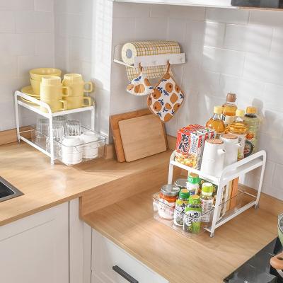 China Factory Supply 2-Tier Sustainable Kitchen Countertop Shelf Cabinet Slide-Out Organizer Spice Rack for sale