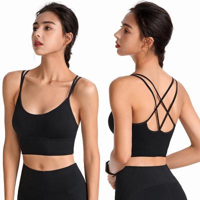 China Sweat-Wicking ZISUEX Plus Size Seamless Sports Bra For Women for sale