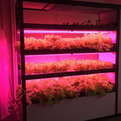 China Agriculture Hydroponic Planting Vertical Cultivating Indoor Garden Hydroponic Indoor Farm for sale