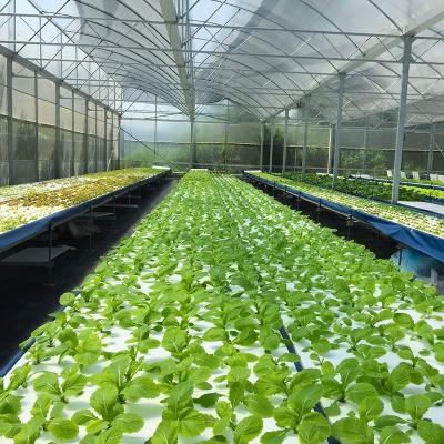 China Hydroponics Vegetables OMANA 2021 Other Greenhouses Custom Size DWC Outdoor Raft Aquaponic System RDWC for sale