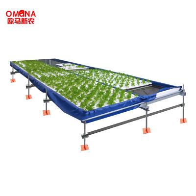 China Hydroponics Vegetable Stable Aluminum Rack Farming Systems Plant Hydroponic Shelf For Greenhouse for sale