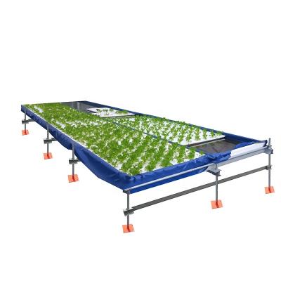 China Full hydroponic growing vegetables dwc hydroponic system systems rdwc hydroponic for sale