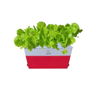 China Dwc Modern Household Use Balcony Hydroponic System Growing Kit Hydroponic Growing Systems Growing Kit For Hydroponic Strawberry for sale