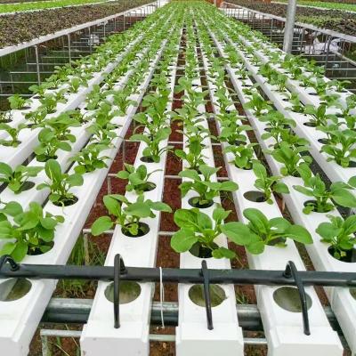 China Hydroponic Planting OMANA Pipes Nft Channel PVC Pipe 100X50 Hydroponic Channel for sale