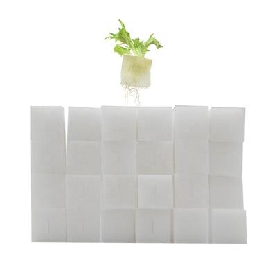 China For Seeds Growth OMANA 100*100*25mm Vegetables Seedling Planting Sponge Foam Hydroponic Grow Sponge Seeds Growth Moss for sale