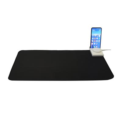 China New Design Hotel Hand Warmer Office Mouse Pad Style Electric Hand Warmer for sale