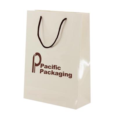 China Recyclable Customizable Paper Bag With Handle Boutique Gift Biodegradable Paper Bag for sale