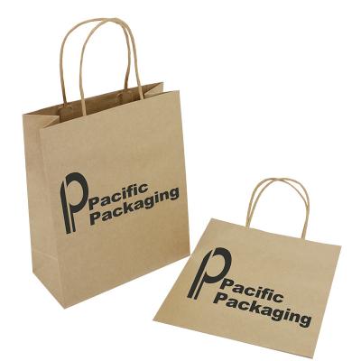 China Recyclable Luxury Paper Gift Bag With Twist Handle Custom Shopping Paper Bag for sale