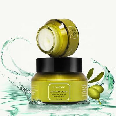 China Natural Organic Moisturizer Tea Tree Oil Pimples Dark Spot Remover Cream Acne Treatment Face Cream for sale