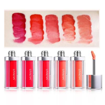 China OEM Private Label Cosmetics Waterproof Vegan Organic Lip Plumper Lip Gloss for sale