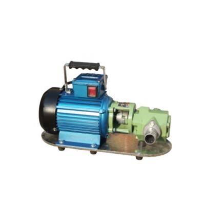 China Explosion-proof automobile industry WCB oil pump /electric diesel fuel transfer pump for sale