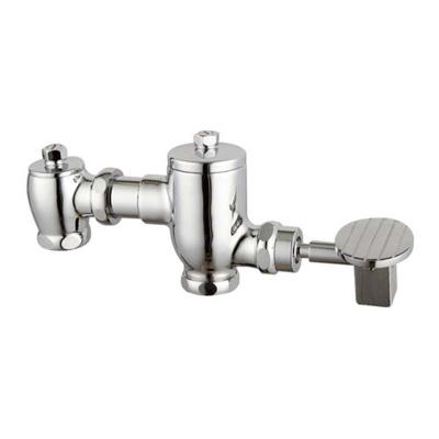 China Modern Toilet Pedal WC Squat Pan Automatic Toilet Flush Valve for sale