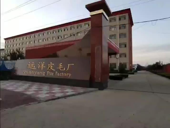 Verified China supplier - Zaoqiang County Daying Town Yuanyang Fur Business Department