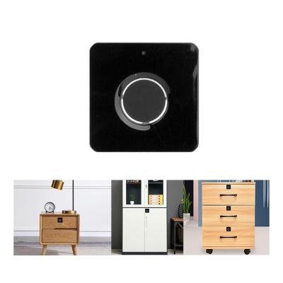 China Modern Smart Fingerprint Cabinet Lock Security Privacy Biometric OEM DIY Drawer Cam Biometric Electric Lock for sale